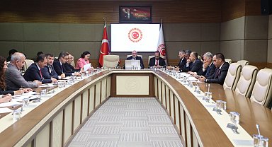 TBMM Zirai Don Olayını Araştırma Komisyonu toplandı