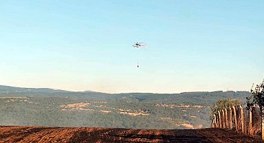 Tekirdağ'da anız yangını; 1 itfaiye eri yaralandı