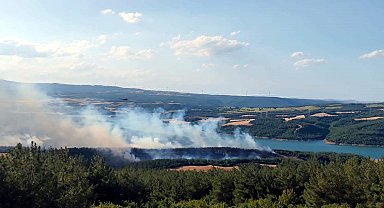 Tekirdağ'da orman yangını