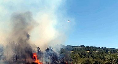 Tekirdağ'da orman yangını