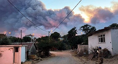 Tekirdağ'da orman yangını