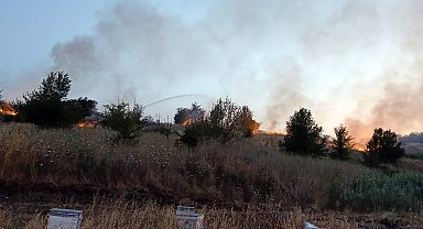 Tekirdağ'da ot yangını