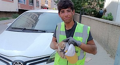Temizlik görevlisi, otomobilin motor bölümüne sıkışan kediyi kurtardı