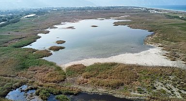 Temmuzun ilk haftası tamamen kuruyan Milleyha Kuş Cenneti suyla doldu