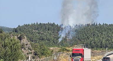 Tokat'ta orman yangını