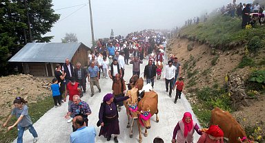 Trabzon'da süslü hayvanlar ve yöresel kıyafetlerle geleneksel yayla göçü Video eklendi