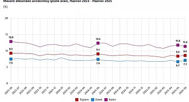 TÜİK: İşsizlik oranı haziranda arttı
