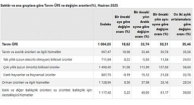 TÜİK: Tarım ürünleri üretici fiyatları haziranda arttı
