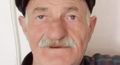 Tunceli'de otomobilin çarptığı yaya öldü