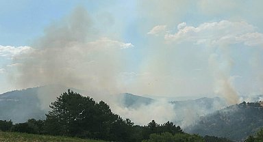 Uşak'ta çıkan orman yangını 19 saatte kontrol altına alındı