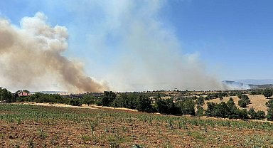 Uşak'ta meşelik yangını 16 saat sonra kontrol altında