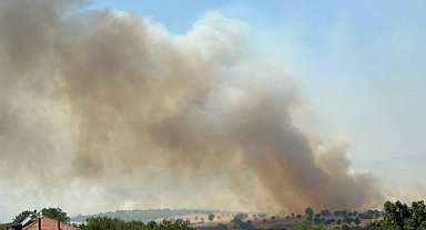 Uşak'ta meşelik yangını