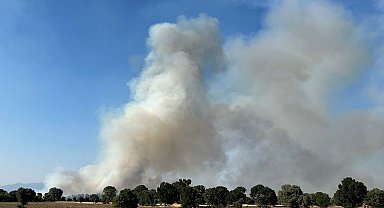 Uşak'ta tarım arazisinde çıkan yangın ormana sıçradı