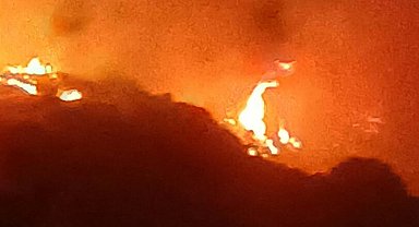 Üzerinde kene bulunan yastığı yakıp, bahçeye atınca yangın çıkmış