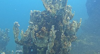 Van Gölü'nde 70 metrelik yeni mikrobiyalit bulundu