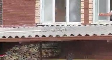 Verandadan düşen tek ayağı olmayan leyleği itfaiyeci havada yakaladı