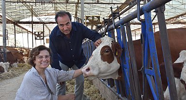 Veteriner çift, çiftlikteki buzağılarına tanıdıklarının ismini veriyor