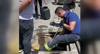 Yağmur suyu kanalında doğan kedileri itfaiye kurtardı