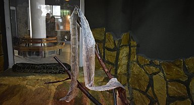 Yılan derisine ilginç talep