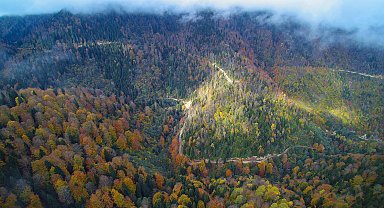 Yılın ilk 7 ayında 4 bin 426 yangın çıktı; yaklaşık 50 bin hektar alan zarar gördü