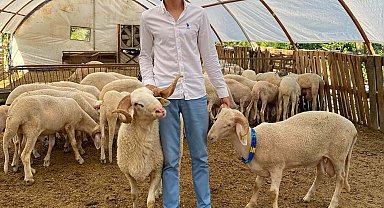 Yüksek kar vaadiyle hayvan toplayıp besicileri dolandırdı