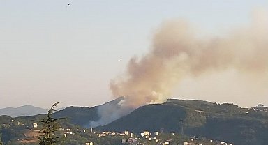 Zonguldak'taki orman yangını söndürüldü