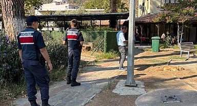 10 köpek ile 5 kedinin öldüğü olayda, şüpheli, etleri çocuklara dağıttırmış