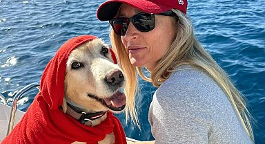 12 yıllık can dostu 'Çinko' trafik kazasında öldü, o anlar kamerada