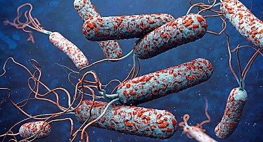 31 ülkede kolera alarmı