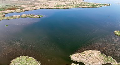 'Eber Gölü 2,5- 3 yıl içinde tamamen kuruyabilir'