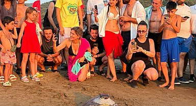'Tuba'nın da aralarında bulunduğu 7 deniz kaplumbağası tekrar denizle buluştu