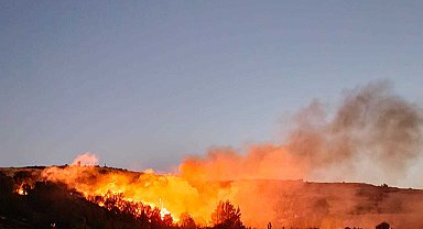 5 saatte söndürülen yangında 150 dönüm orman yandı