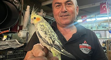 50 metrekarelik dükkanında kuş sesleri eşliğinde üretim yapıyor