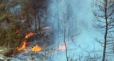 Adana'da orman yangını