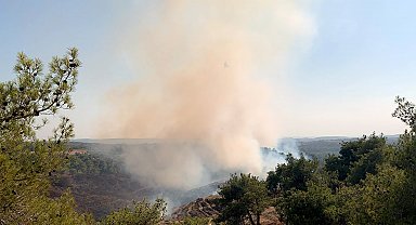 Adana'da orman yangını