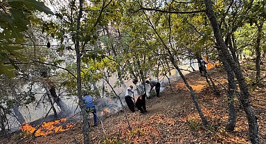 Adana'da orman yangını