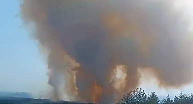 Adana'daki orman yangını kontrol altında