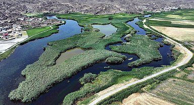 Ağrı Dağı'nın eteklerindeki sulak alanlar turizme kazandırılıyor