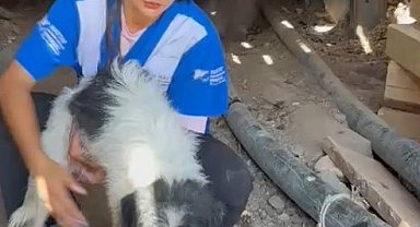 Alevlerden kaçıp 7 yavrusuyla maden ocağına sığınmış