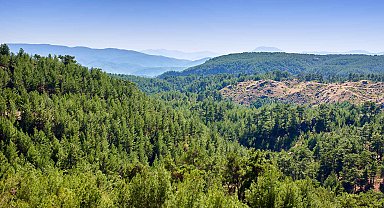 ALJ Türkiye'den 1.4 milyon fidan ile başlayan ağaç seferberliği