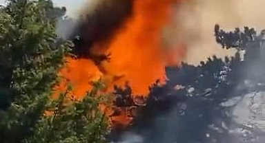 Amasya'da orman yangını