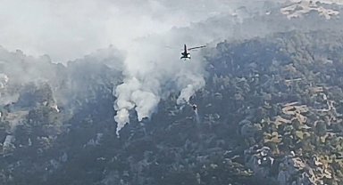 Amasya'daki orman yangını 16 saat sonra kontrol altına alındı; 35 hektar alan zarar gördü