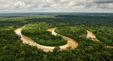 Amazon yağmur ormanları kuruyor