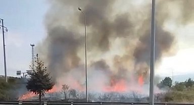 Anadolu Otoyolu kenarındaki ot yangını söndürüldü