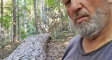 Ayağına tomruk düştü, ambulansta kalp krizi geçirip öldü