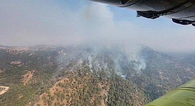 Aydın'da orman yangını 2'nci gününde
