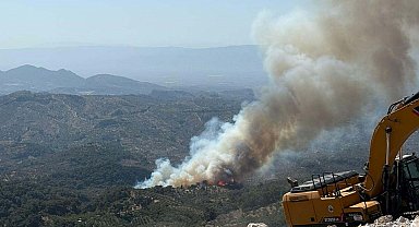 Aydın'da orman yangını