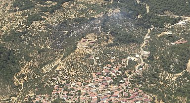 Aydın'da orman yangını