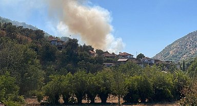 Aydın'da zeytinlikte çıkan yangın 1,5 saatte kontrol altına alındı