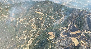 Aydın'daki orman yangını 3'üncü gününde